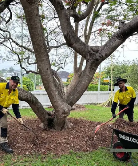 Friendly Oxley GPM garden maintenance crew posing with hedge trimmer and safety gear in Brisbane.