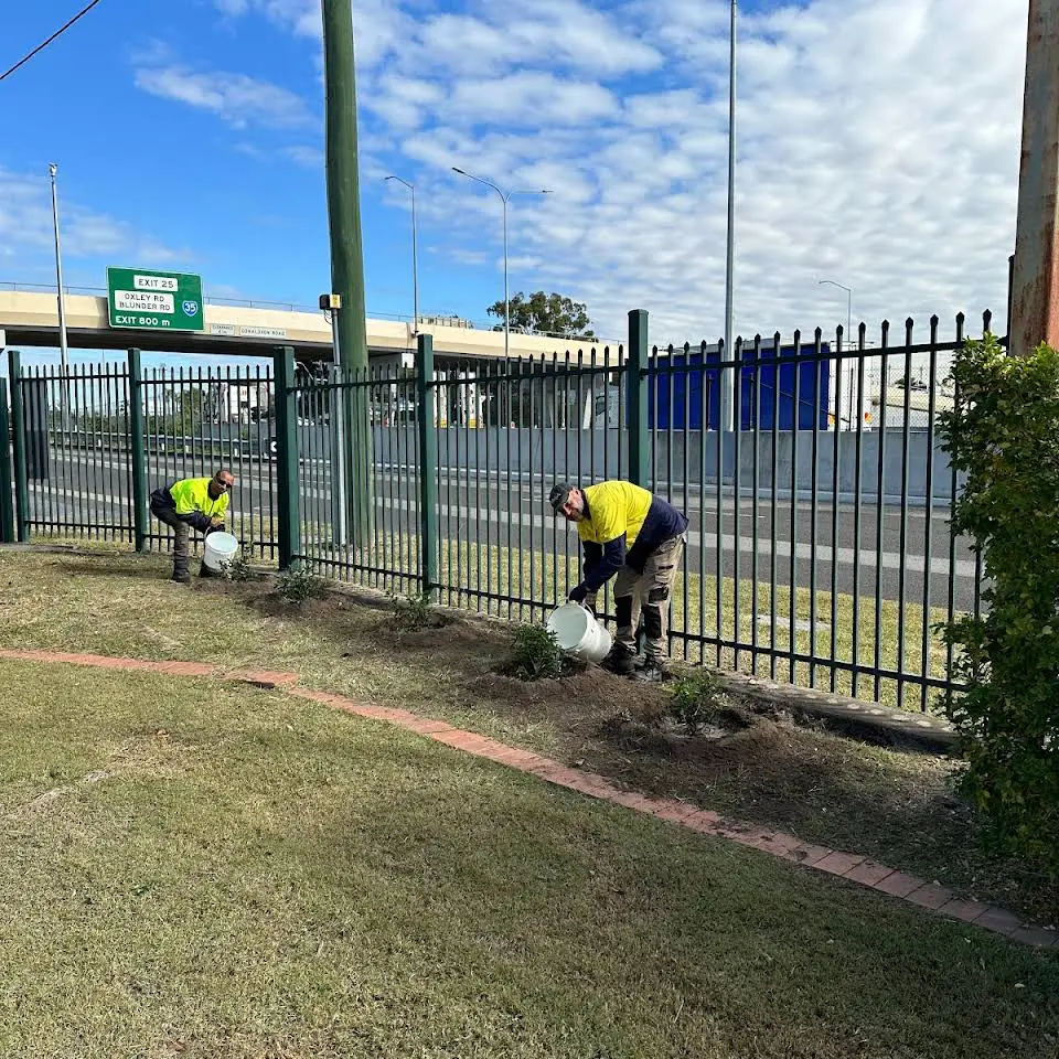Oxley GPM staff planting and watering new shrubs along a roadside fence as part of commercial garden maintenance in Brisbane.