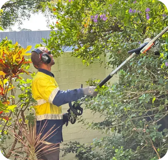 Oxley Gpm Oxley GPM team member trimming hedges with a pole saw during a residential garden maintenance service in Brisbane.