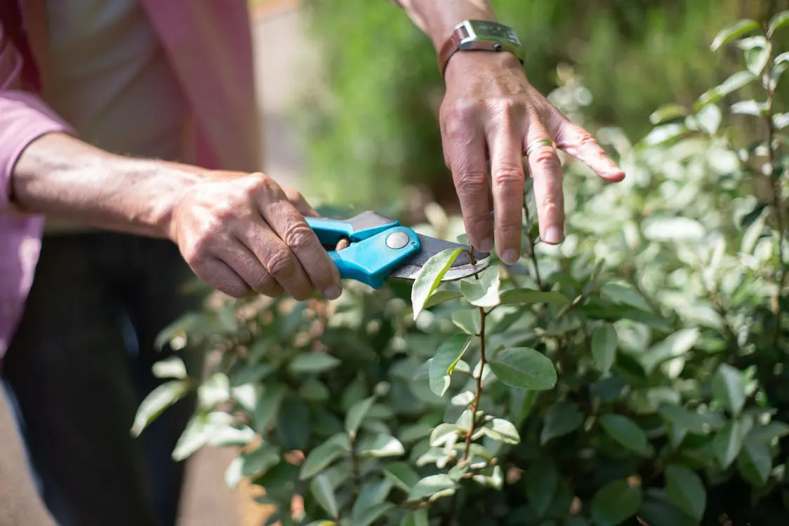 Year-Round Garden Maintenance Brisbane: A Complete Seasonal Checklist