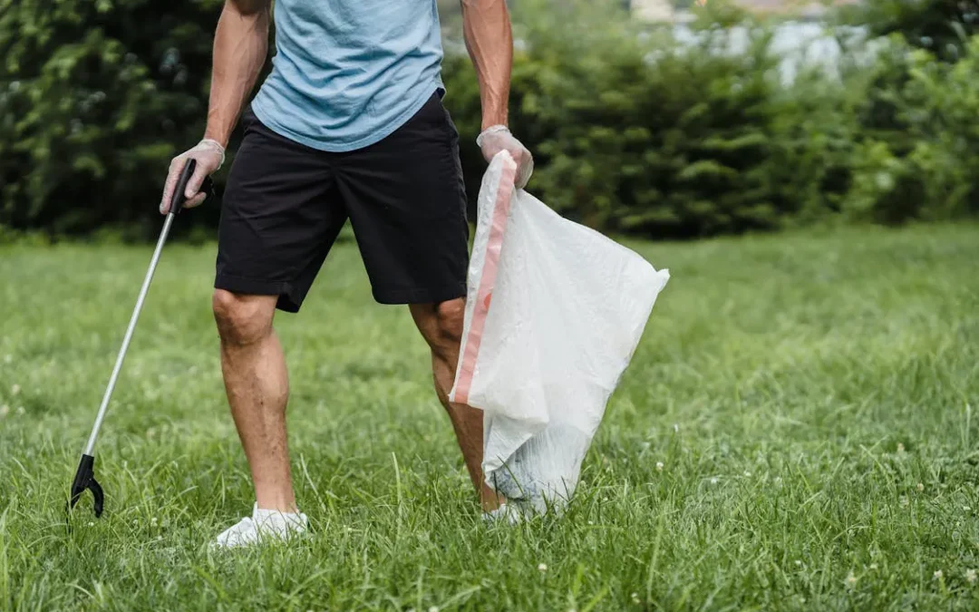 The Ultimate Guide to Flawless Lawn Care in Brisbane
